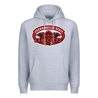 Heather Grey jacksonville state gamecocks Premium Hoodie - linhVisuals