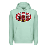 Seafoam jacksonville state gamecocks Premium Hoodie - linhVisuals