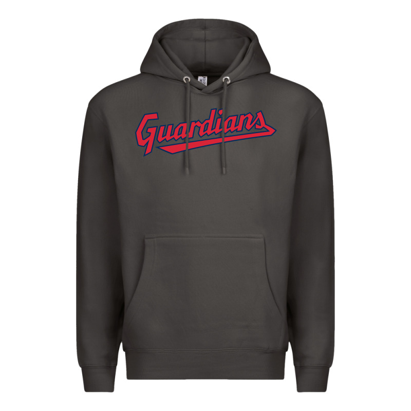 Guardians Premium Hoodie by linhVisuals | Teevron