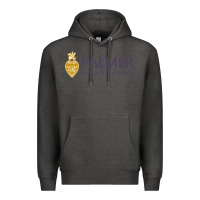 Charcoal Heather college of chiropractic Premium Hoodie - linhVisuals