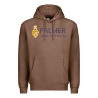 Chestnut college of chiropractic Premium Hoodie - linhVisuals