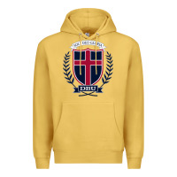 Antique Gold db Premium Hoodie - linhVisuals