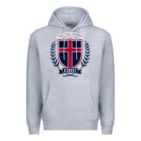 Heather Grey db Premium Hoodie - linhVisuals