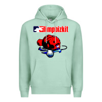 Seafoam limp bizkit 35 Premium Hoodie - linhVisuals