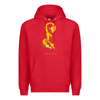 James Bay Müsic Premium Hoodie | Teevron