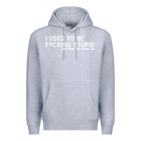 Heather Grey i used to be f cking stupid Premium Hoodie - linhVisuals
