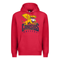 Cardinal canisius golden griffins Premium Hoodie - linhVisuals