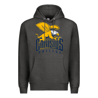 Charcoal Heather canisius golden griffins Premium Hoodie - linhVisuals