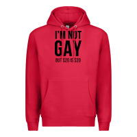 Cardinal i'm not gay but $20 is $20 (white) Premium Hoodie - linhVisuals