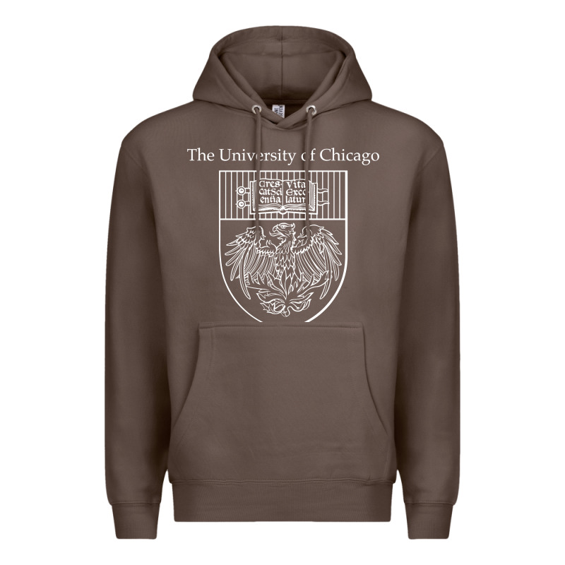 Chicago Premium Hoodie by linhVisuals | Teevron