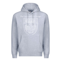 Heather Grey chicago Premium Hoodie - linhVisuals