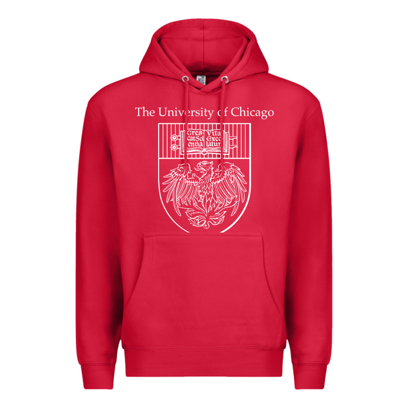 Chicago Premium Hoodie by linhVisuals | Teevron
