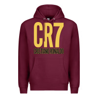 Cr7 Cristiano Rocnaldo Portugal Premium Hoodie | Teevron