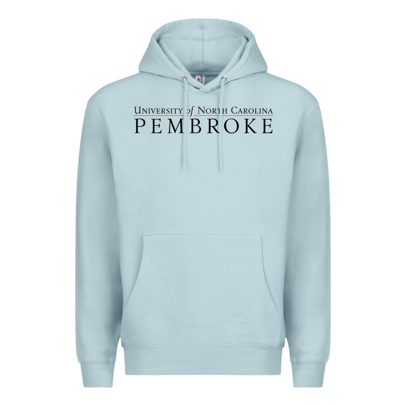 University Of North Carolin Pembroke Premium Hoodie by linhVisuals | Teevron
