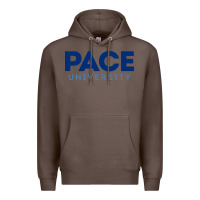 Coffee Pace University Premium Hoodie - linhVisuals