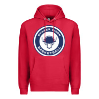 Cardinal shaker basket ball Premium Hoodie - linhVisuals