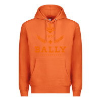 Carrot bally Premium Hoodie - linhVisuals