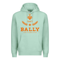 Seafoam bally Premium Hoodie - linhVisuals
