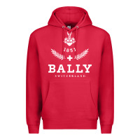 Cardinal bally Premium Hoodie - linhVisuals