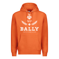 Carrot bally Premium Hoodie - linhVisuals