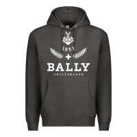 Charcoal Heather bally Premium Hoodie - linhVisuals