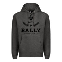 Charcoal Heather bally Premium Hoodie - linhVisuals