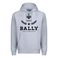 Heather Grey bally Premium Hoodie - linhVisuals