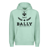 Seafoam bally Premium Hoodie - linhVisuals