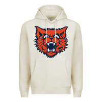 Evanston Township High School Premium Hoodie | Teevron
