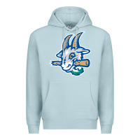 Hartford-yard-goats Premium Hoodie | Teevron