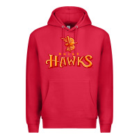 Cardinal the-boise-hawks-fan Premium Hoodie - linhVisuals