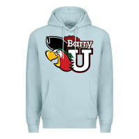 Blue Mist barry Premium Hoodie - linhVisuals