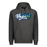 Charcoal Heather the-hillsboro-hops-merch Premium Hoodie - linhVisuals