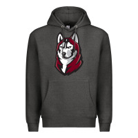 Charcoal Heather bloomsburg huskies Premium Hoodie - linhVisuals