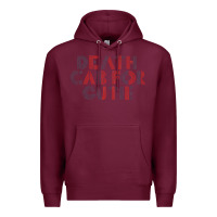 Burgundy death cab for cutie Premium Hoodie - linhVisuals