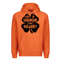 Carrot prone to shenanigans and malarkey Premium Hoodie - linhVisuals