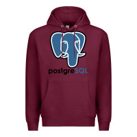 Burgundy Postgresql Premium Hoodie - linhVisuals