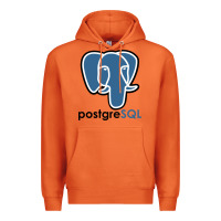 Postgresql Premium Hoodie | Teevron