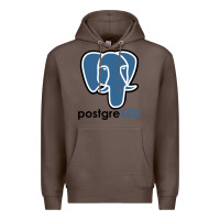 Coffee Postgresql Premium Hoodie - linhVisuals