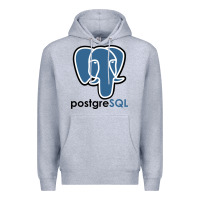 Heather Grey Postgresql Premium Hoodie - linhVisuals