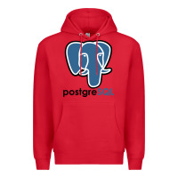 Red Postgresql Premium Hoodie - linhVisuals