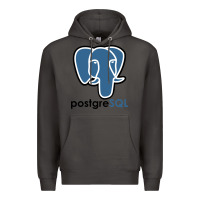 Smoke Postgresql Premium Hoodie - linhVisuals