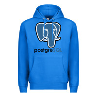 True Royal Postgresql Premium Hoodie - linhVisuals