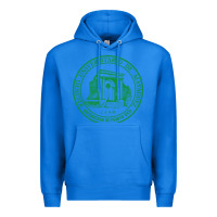 True Royal University of Puerto Rico Mayagüez Premium Hoodie - linhVisuals
