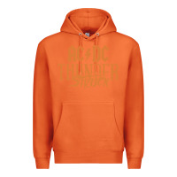 Carrot thunderstruck Premium Hoodie - linhVisuals