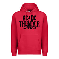 Cardinal thunderstruck Premium Hoodie - linhVisuals