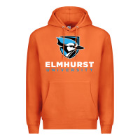 Carrot elmhurst university Premium Hoodie - linhVisuals