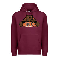 Burgundy northrop high school Premium Hoodie - linhVisuals