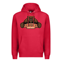 Cardinal northrop high school Premium Hoodie - linhVisuals