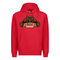 Red northrop high school Premium Hoodie - linhVisuals
